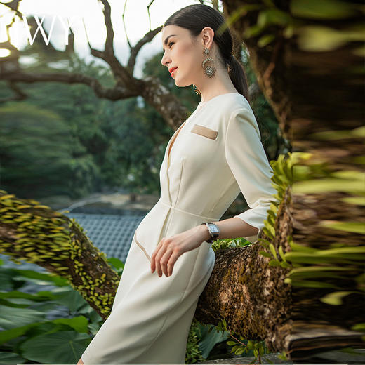 IWY/职业套装女五分袖轻熟风通勤正装裙气质时尚正式工作服连衣裙 NQ528-W 商品图1