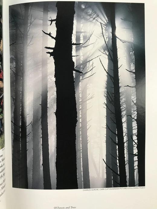 美国国家森林图集 百余幅彩色插图 精装16开 商品图10