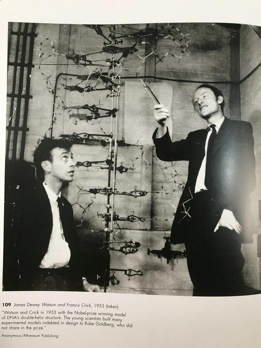 动荡五十年代：纽约时报摄影图集 195幅插图 精装大16开 商品图11