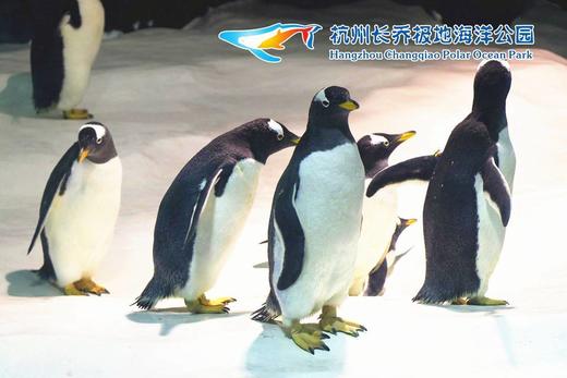 【特惠门票】杭州冰雪大世界 商品图0