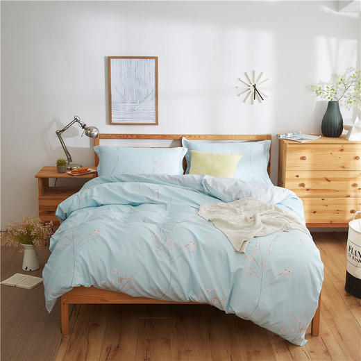 恒源祥HYX034TJ树枝梅花印四件套 100%聚酯纤维 80g桃皮绒 被套200cm*230cm【CZ】 商品图1