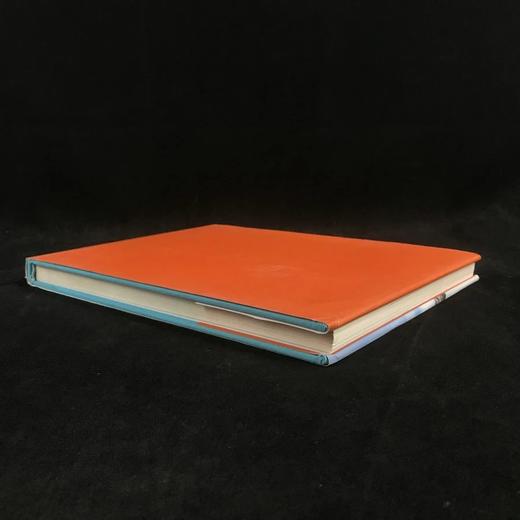 意想不到之处的艺术 近百幅彩色插图 精装16开 商品图2