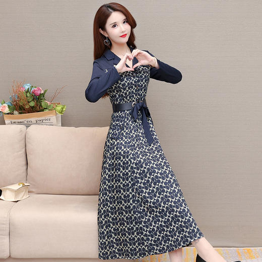 YWE  ALLJ21B07D气质优雅阔太太长袖印花连衣裙 商品图1