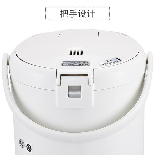虎牌电水瓶电水壶PDH-A22C   2.2L 白色 商品图1