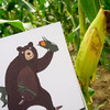 熊瞎子掰苞米 商品缩略图1