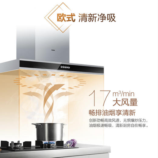 海尔（Haier）烟机CXW-200-E900T2S 商品图1