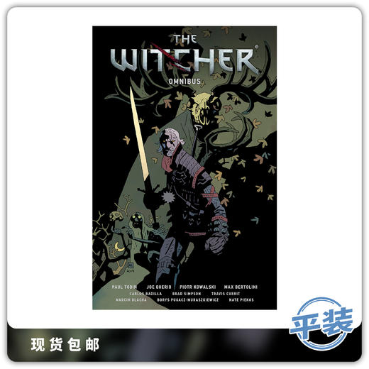 英文原版 巫师 Witcher Omnibus Vol 1 漫画合集 商品图0