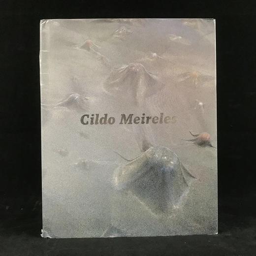 巴西概念艺术家切尔多·梅雷莱斯作品图集 约百余幅插图 精装16开 商品图0