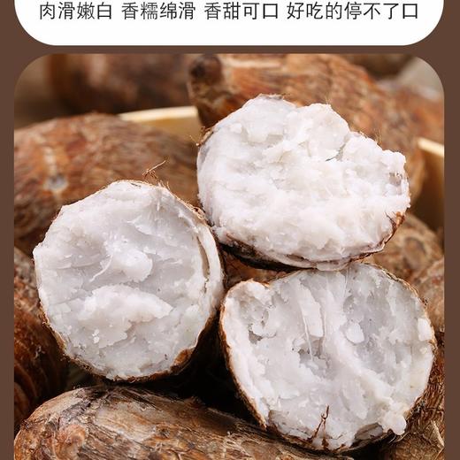 铅山农家小芋头5斤装 商品图2