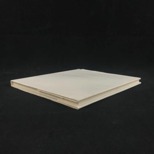 十四世纪早期巴黎生活记录 66幅插图 精装16开 商品图2