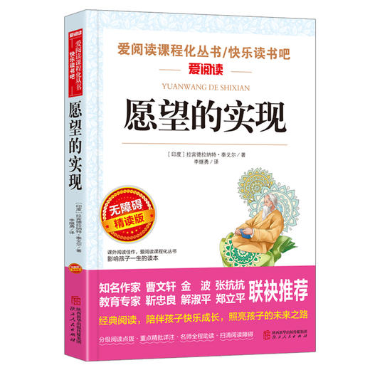 愿望的实现 无障碍精读版 商品图0