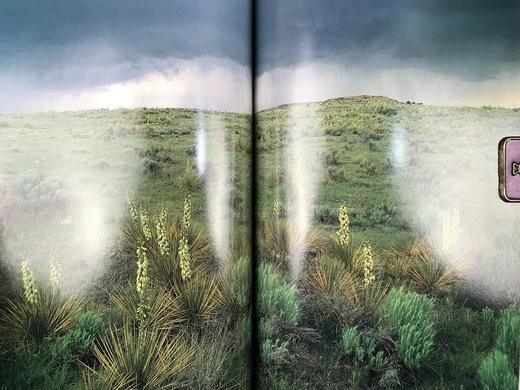 美国国家森林图集 百余幅彩色插图 精装16开 商品图6