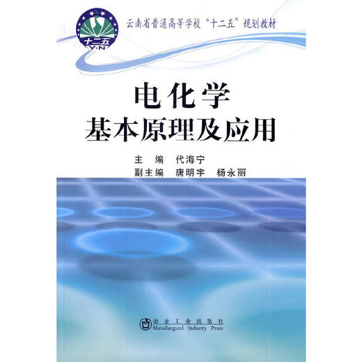 电化学基本原理及应用(本科)/代海宁 唐明宇 杨永丽 商品图0