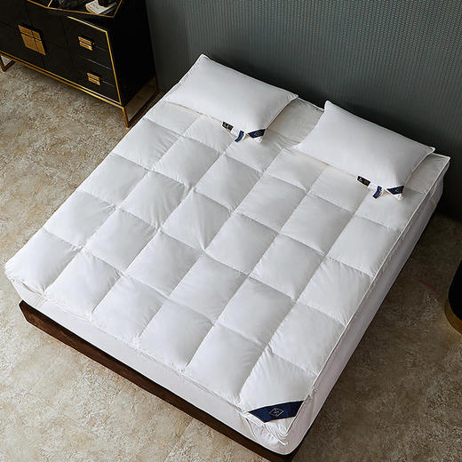 世茂希尔顿酒店舒适羽绒床垫软垫家用白鹅绒保暖床褥垫加厚垫子 商品图1