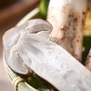 球盖菇 约100g/份（球盖菇） 商品缩略图3
