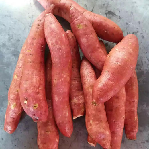 【香甜粉糯】陕西红薯5斤/10斤 商品图1