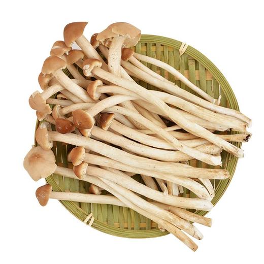茶树菇 150g/份 商品图1