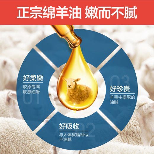 【澳洲原装进口绵羊油霜畅销5000万罐22年老品牌】澳芝曼澳洲绵羊油VE滋润面霜250g素颜补水保湿霜护肤 商品图3