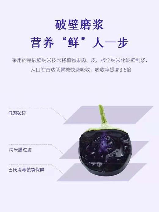 喜善花房黑枸杞原浆 商品图2