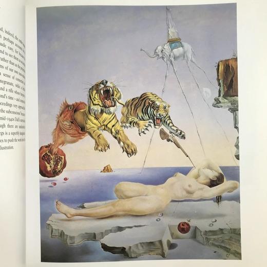 达利画集 48幅彩色插图 精装大16开 商品图12