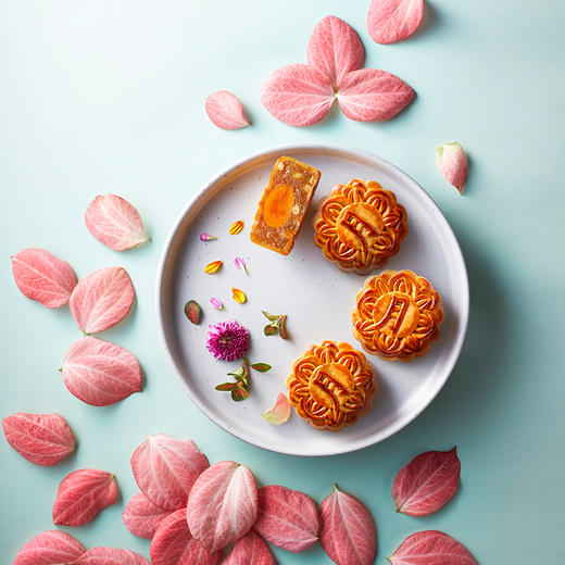 广东松子单黄冬蓉月饼（100g*6只） 商品图0