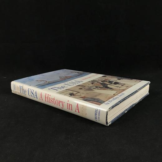 美国艺术史 265幅插图 精装大16开 商品图1