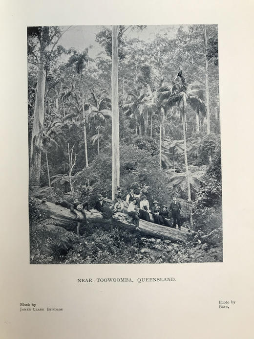 1901年 艺术评论杂志 数百幅插图 漆布精装18开 商品图12