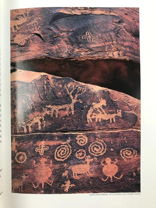 美国国家森林图集 百余幅彩色插图 精装16开 商品图13