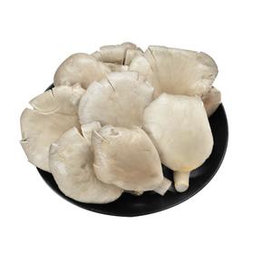 平菇 约150g/份（菇类）