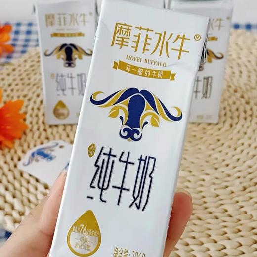 摩菲水牛纯牛奶｜拒绝奶腥味 来自云南苍山洱海 自然纯净 珍贵奶源 口感顺滑、细腻、香醇 甘甜不腻 早晚一杯 给家人补充营yang 让孩子养成喝奶习惯 商品图0