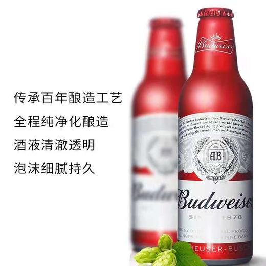 百威铝罐（红） 商品图4