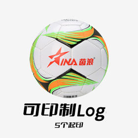 【团购】INA-Control 茵浪儿童青少年训练比赛用球[3号球