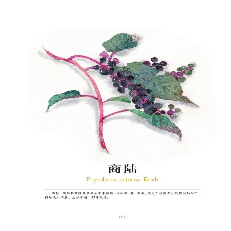 毒草芬芳 精美水彩手绘有毒植物科普散文植物学生物学文学爱好者收藏