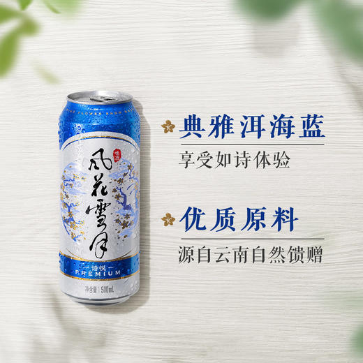 风花雪月诗悦罐500ml*12罐 云南国风之选 商品图0