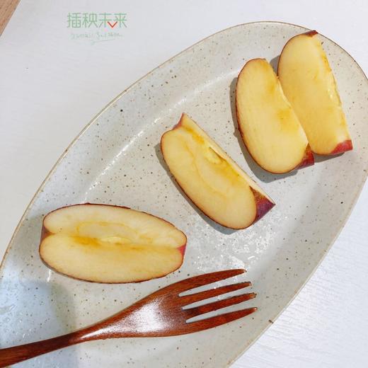苹果中的“翡冷翠黑珍珠”  | 大卫果3KG 可做早餐的苹果[福利品] 商品图4