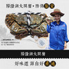 阳澄湖大闸蟹，基地直发，秋季开湖后发货【顺丰到家，死蟹包赔】 商品缩略图1