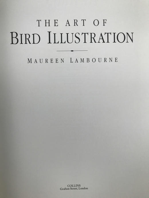 鸟类插画艺术图集 百余幅彩色插图 精装大16开 商品图3