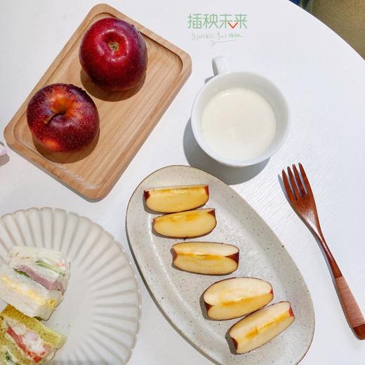 苹果中的“翡冷翠黑珍珠”  | 大卫果3KG 可做早餐的苹果[福利品] 商品图6