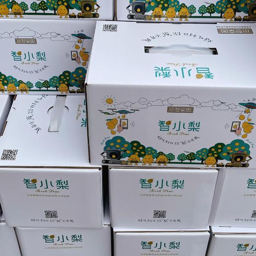 【甘肃疆山蜜梨】约4.5斤/箱，皮薄、脆甜多汁 商品图4