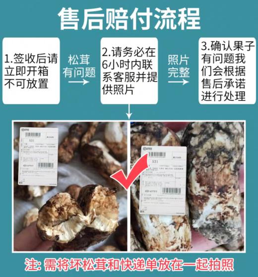 云南松茸 商品图5