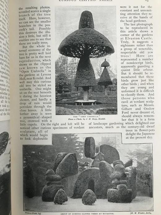 1898年 河滨杂志 数百幅插图 漆布精装18开 商品图13