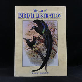 鸟类插画艺术图集 百余幅彩色插图 精装大16开