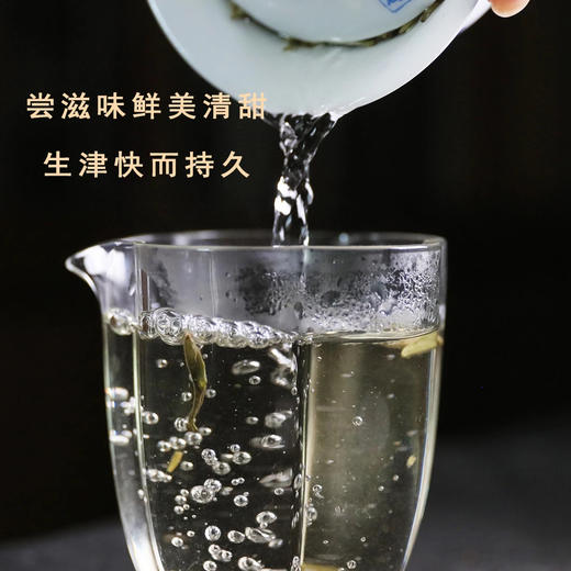 白茶 | 中雄御品 2021年白毫银针 50g 商品图3