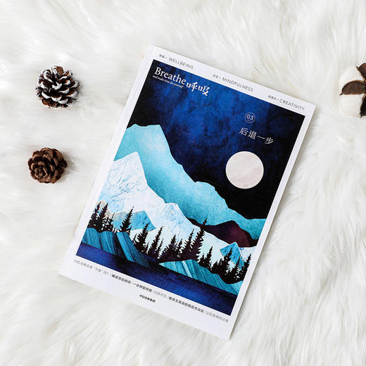 呼吸 后退一步 英国Breathe编辑部 著 生活 不必一味向前允许后退为呼吸留出空间 平衡身心的正念启发书 中信出版 商品图2