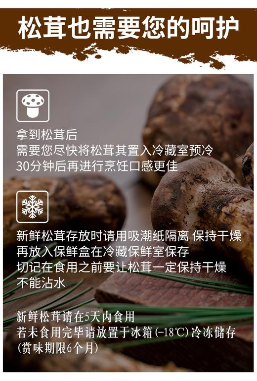 云南松茸 商品图4