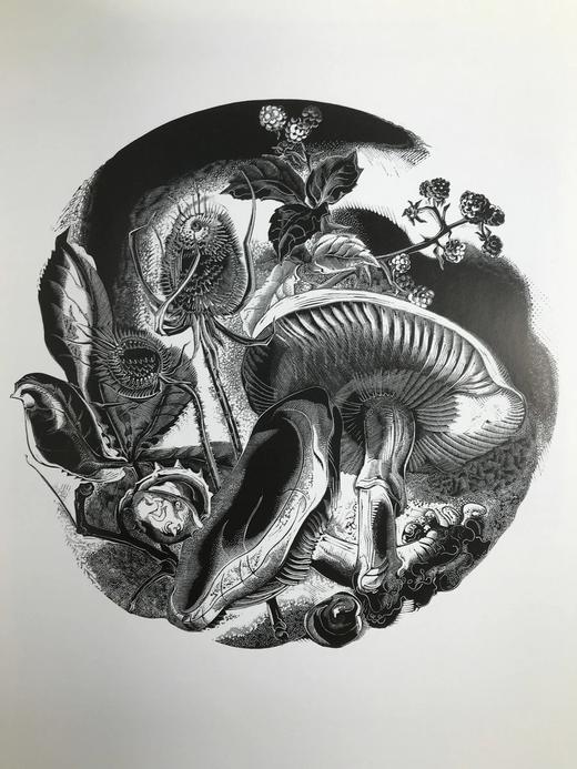 二十世纪的印象派 118幅彩色插图 精装16开 商品图12