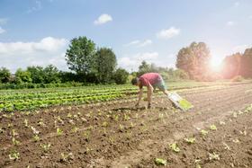  什么是有机农业？5%的人能领会！ 