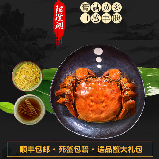 阳澄湖大闸蟹，基地直发，秋季开湖后发货【顺丰到家，死蟹包赔】 商品图8