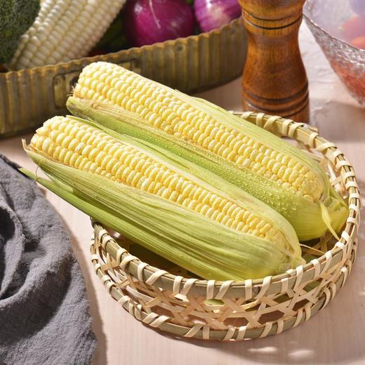 黄玉米 约600g/份（普通玉米） 商品图2