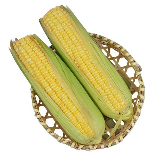 黄玉米 约600g/份（普通玉米） 商品图1